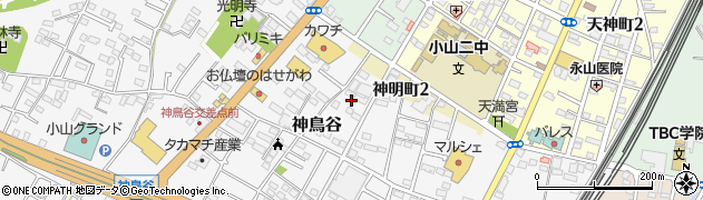 栃木県小山市神鳥谷865周辺の地図