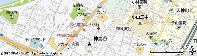 栃木県小山市神鳥谷876周辺の地図
