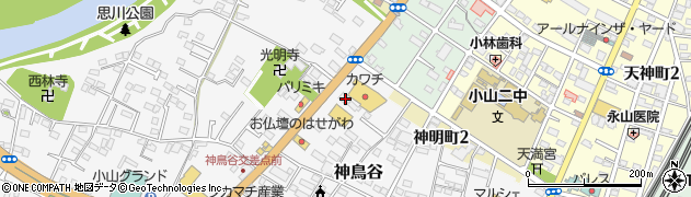 栃木県小山市神鳥谷697周辺の地図