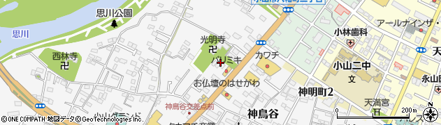 栃木県小山市神鳥谷693周辺の地図