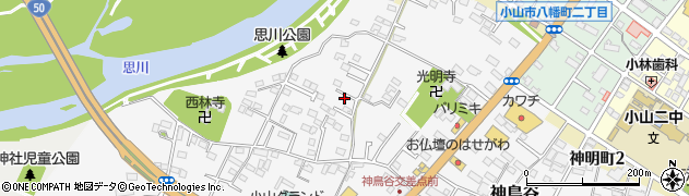 栃木県小山市神鳥谷151周辺の地図