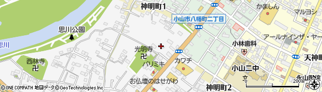 栃木県小山市神鳥谷699周辺の地図