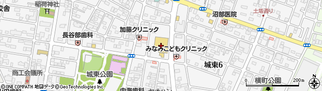 株式会社オータニ　小山店周辺の地図