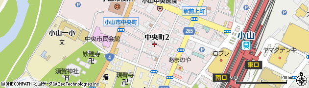 栃木県小山市中央町2丁目周辺の地図