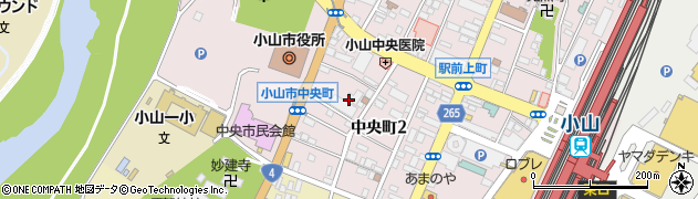 栃木県小山市中央町周辺の地図