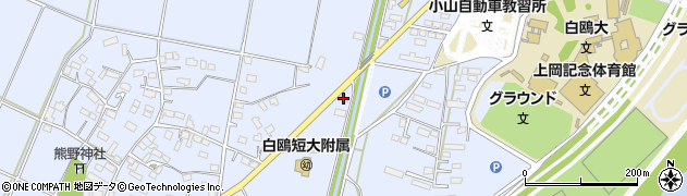 栃木県小山市大行寺950周辺の地図