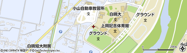 栃木県小山市大行寺1330周辺の地図