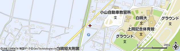 栃木県小山市大行寺969周辺の地図
