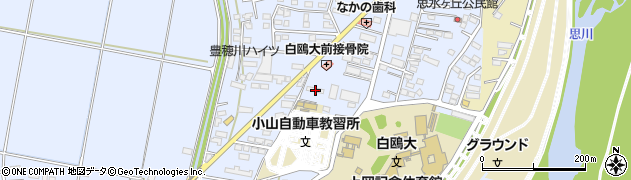 栃木県小山市大行寺1032周辺の地図