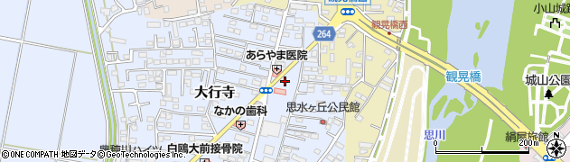 栃木県小山市大行寺1066周辺の地図