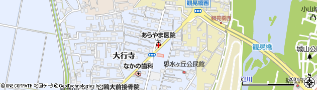 栃木県小山市大行寺1069周辺の地図