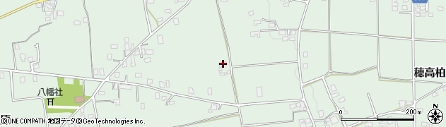 有限会社ミツバ総業周辺の地図