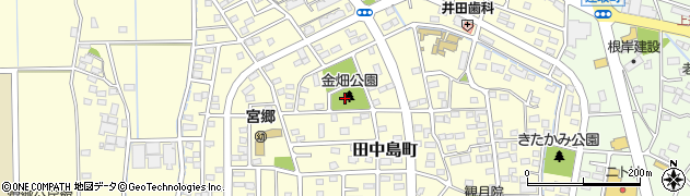 伊勢崎市金畑公園周辺の地図