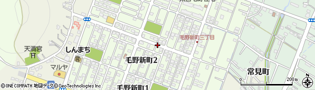 栃木県足利市毛野新町周辺の地図