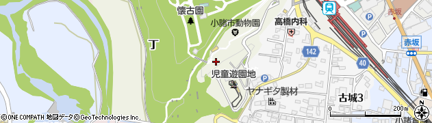 長野県小諸市丁318周辺の地図