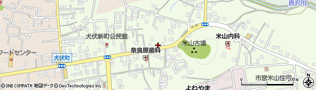 栃木県佐野市犬伏新町2069周辺の地図