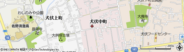 栃木県佐野市犬伏中町2259周辺の地図