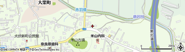 栃木県佐野市犬伏新町811周辺の地図