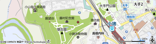 長野県小諸市丁313周辺の地図