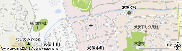 栃木県佐野市犬伏中町2263周辺の地図