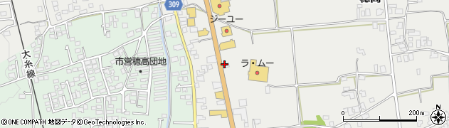 ザ・ゴールド　穂高店周辺の地図