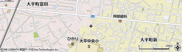 栃木県栃木市大平町新1347周辺の地図