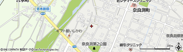 栃木県佐野市奈良渕町530周辺の地図