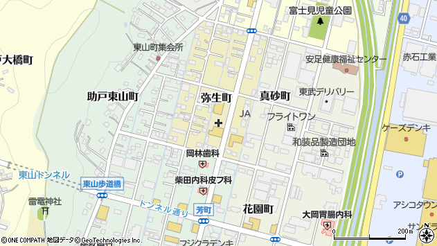 〒326-0036 栃木県足利市弥生町の地図