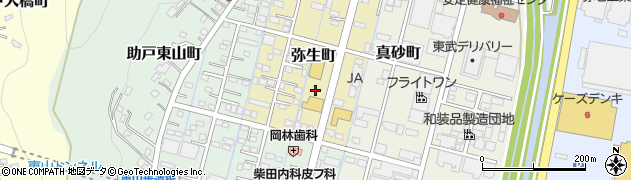 栃木県足利市弥生町周辺の地図