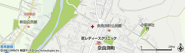 栃木県佐野市奈良渕町313周辺の地図