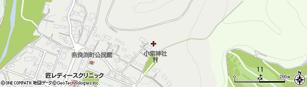 栃木県佐野市奈良渕町219周辺の地図