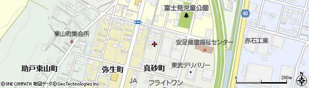 栃木県足利市真砂町89周辺の地図
