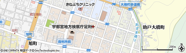 栃木県足利市丸山町周辺の地図