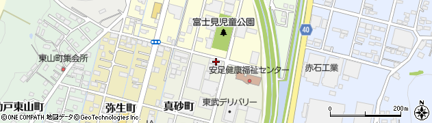 栃木県足利市真砂町49周辺の地図