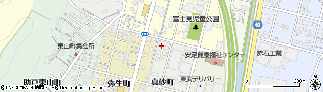栃木県足利市真砂町90周辺の地図
