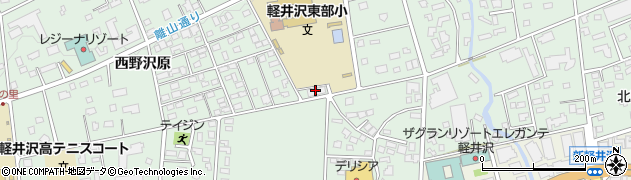 片岡軽井沢荘周辺の地図