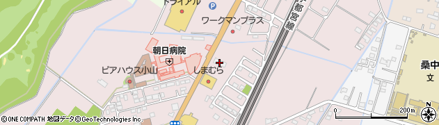 スカイレンタカー小山喜沢店周辺の地図