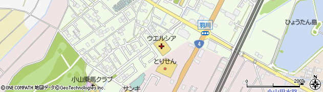 ダイソー小山羽川ショッピングモール店周辺の地図
