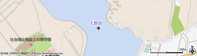 上野沼周辺の地図