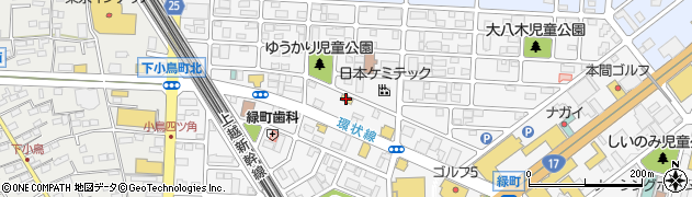 セブンイレブン高崎緑町２丁目店周辺の地図