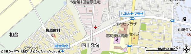 茨城県ひたちなか市田宮原4176周辺の地図