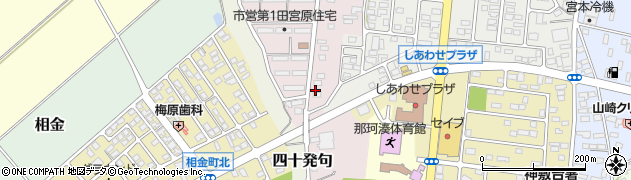 茨城県ひたちなか市田宮原4177周辺の地図