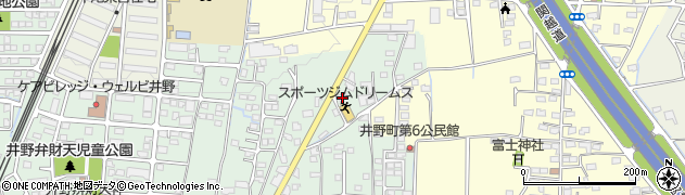 群馬県高崎市井野町703周辺の地図