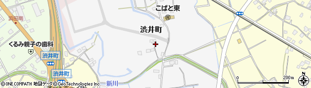 茨城県水戸市渋井町周辺の地図