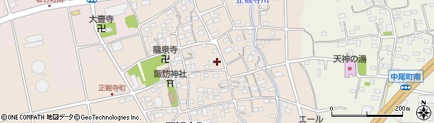 群馬県高崎市正観寺町1033周辺の地図