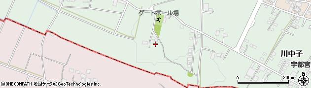 栃木県下野市川中子79周辺の地図