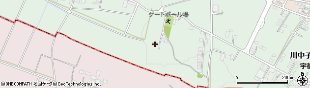 栃木県下野市川中子80周辺の地図