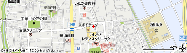 群馬県高崎市中泉町周辺の地図