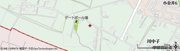 栃木県下野市川中子91周辺の地図