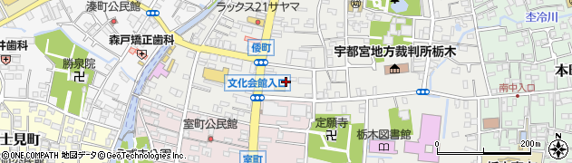 栃木県栃木市倭町10周辺の地図